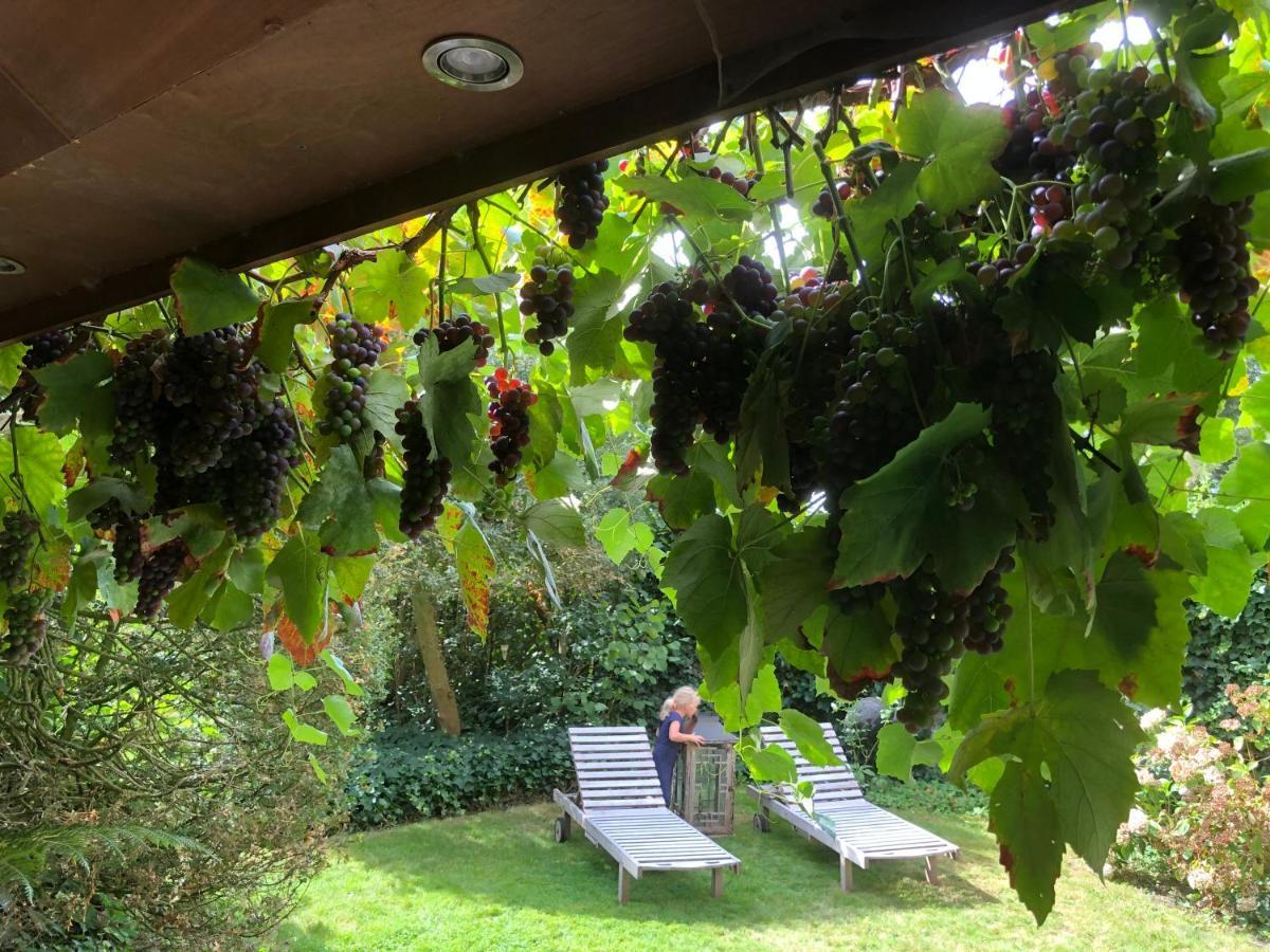 Beaux Temps B&B Aalter Exterior foto