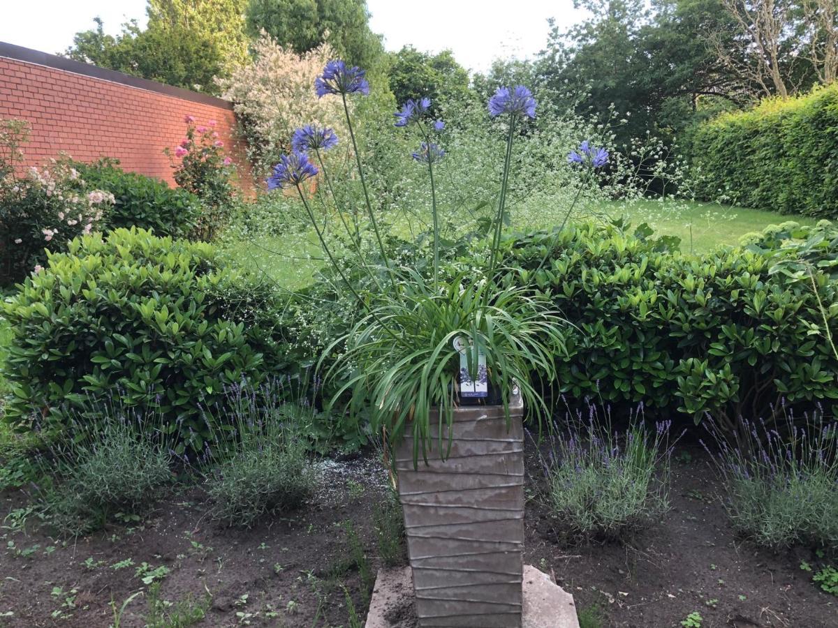 Beaux Temps B&B Aalter Exterior foto